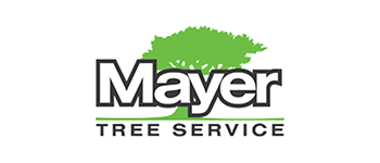 Mayer Tree