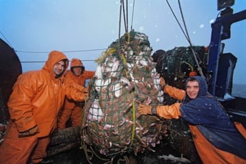 fishermen haul in days catch