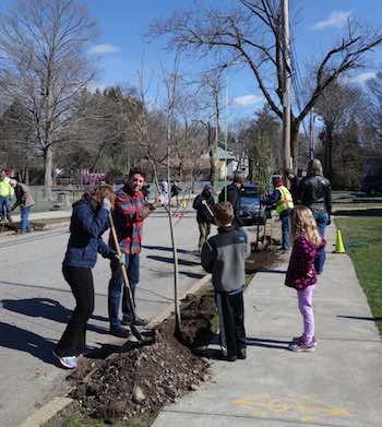 Volunteers help during last spring's tree planting in Newton