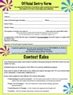 essay contest entry form