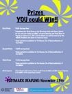 essay contest prizes