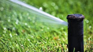 State resumes regulatory process for irrigation interruption devices