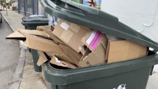 Environment Committee grants extensions to recycling and waste bills