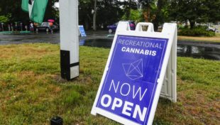 CCC approves extensive revisions to marijuana regulations