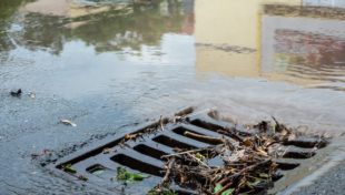 Bureau of Water Resources’ ‘Meet the Grants’ workshop is June 12