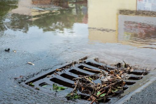 Administration awards $1.1M for coastal water quality