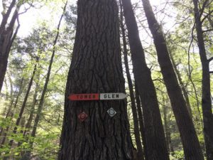 a red and white sign is posted to a tree trunk in a forest