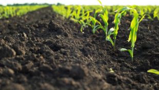 Applications for farm partnership grants open through April 15