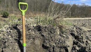 Deerfield produces, wins award for soil health study