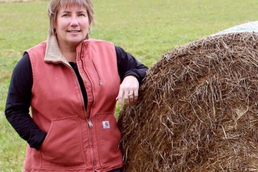 Sen. Anne Gobi named as director of rural affairs