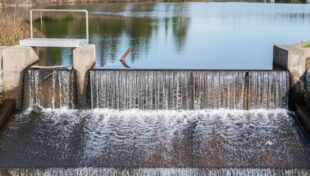 State awards funds for dam removal, wetlands restoration