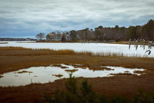 State awards $716,000 for regional water restoration efforts