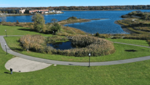 New Bedford eyes salt marsh construction for riverfront park