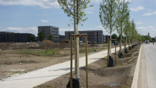 State awards $559,000 for green spaces in Gateway Cities