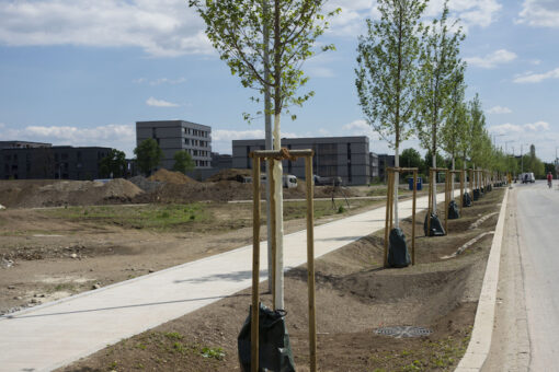 State awards $559,000 for green spaces in Gateway Cities