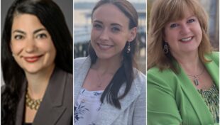 MSA to hold free training for newly elected select board members