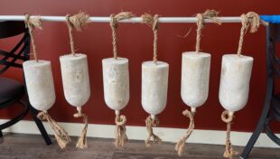 Nantucket to test mushroom-based buoys
