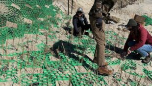Nantucket pilot program seeks to mitigate coastal erosion