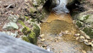 Culvert replacement grant funding available
