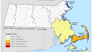 Spring rains improve drought conditions