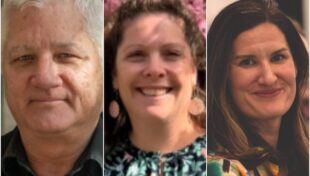 MMA webinar to discuss municipal properties and creative economy