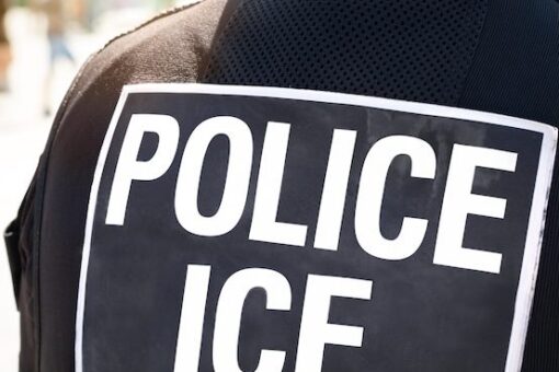 Mass. mayors and officials issue statement on ICE actions in communities