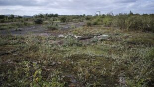 Administration awards $6.5M to assess and clean brownfields