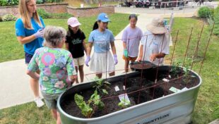 Intergenerational gardening program springs to life in Lexington