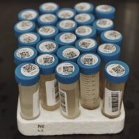Nantucket tests wastewater for evidence of high-risk substance use