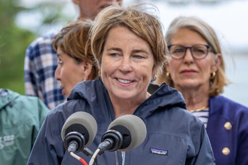 Administration unveils first-in-nation plan to protect nature, wildlife