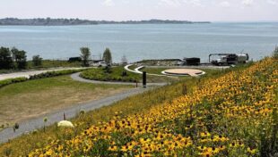 Lynn transforms landfill into waterfront park
