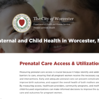 Worcester launches dashboard on maternal, child health