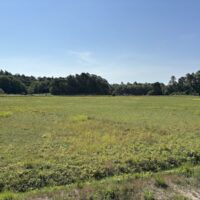 Cranberry bog purchase adds to Plymouth’s conservation efforts