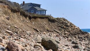 Planning series offers assistance for building resilient shoreline