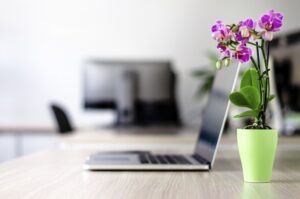 Neat workplace for woman with wooden table, laptop computer and a flower
