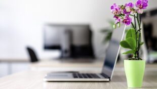 Getting organized can support mental health, job performance