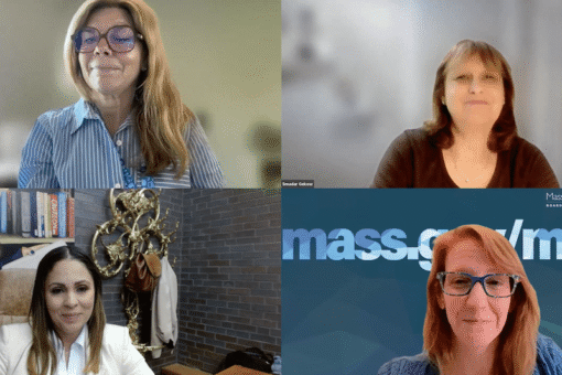 Webinar explores public libraries as hubs for civic engagement