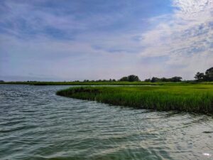 Summer nights on Cape Cod along Parker River