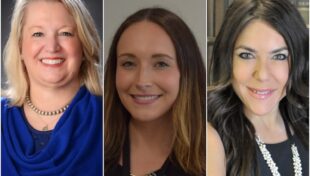 MSA to hold free training for newly elected select board members