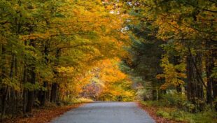 State awards nearly $11.3 million in unpaved road grants