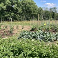 Sharon finds new home for community garden