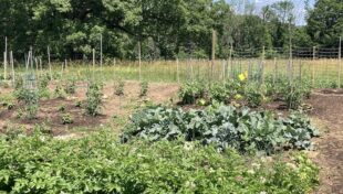 Sharon finds new home for community garden