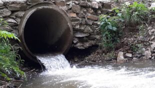 Applications due Oct. 26 for nitrogen-sensitive area grants